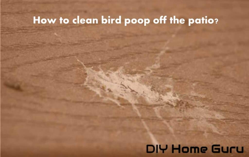 How to Clean Bird Poop Off Concrete? DIY HOME GURU