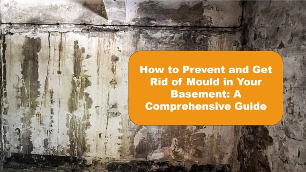 How to Get Rid of Black Mould on Windows A Homeowner’s Guide DIY